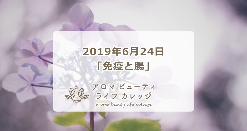 6月24日　解剖生理学-免疫と腸-　腸活で話題の腸内フローラや自律神経について学ぶ講座を開催